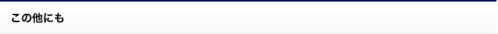この他にも